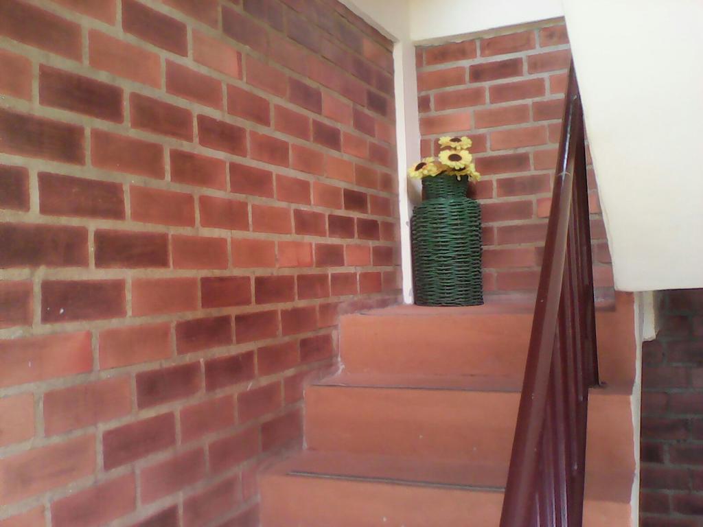 Oasis Do Barral 2*